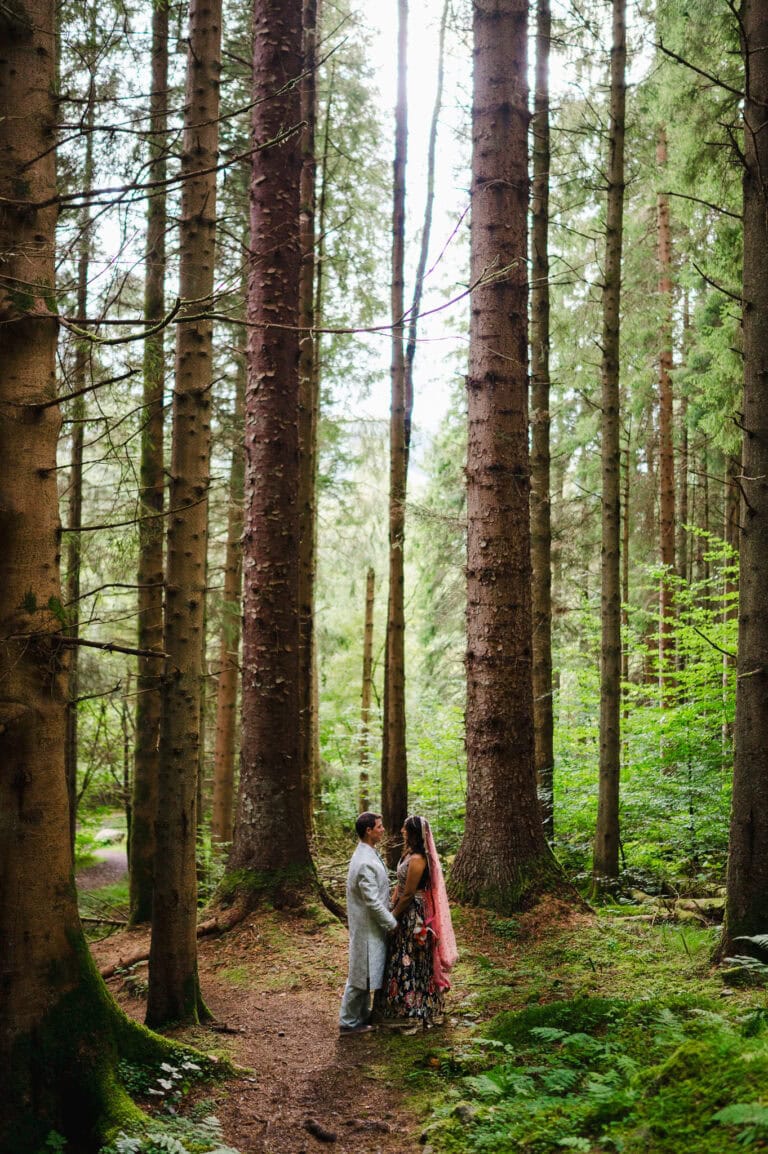 Standing between the trees as the light shines through, landing on the beautiful newlyweds 