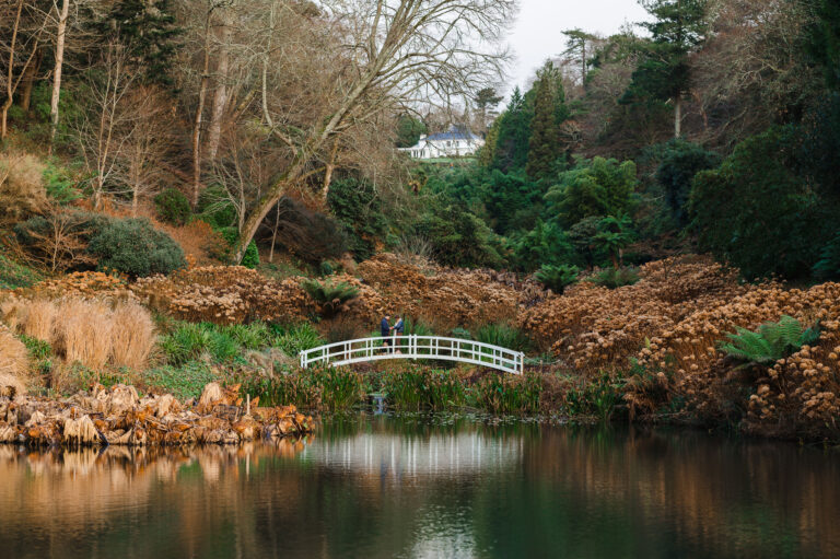 Wedding proposal at Trebah Gardens, Cornwall