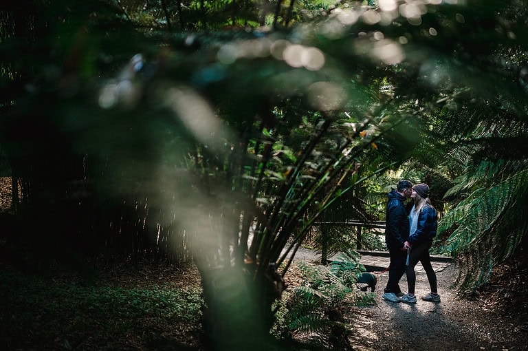 There's so many fantastic photo opportunities around Trebah Gardens, like here in among the ferns. The happy couple stop for some photos to celebrate getting engeged by Cornwall engagement photographer, Jake Timms Photography