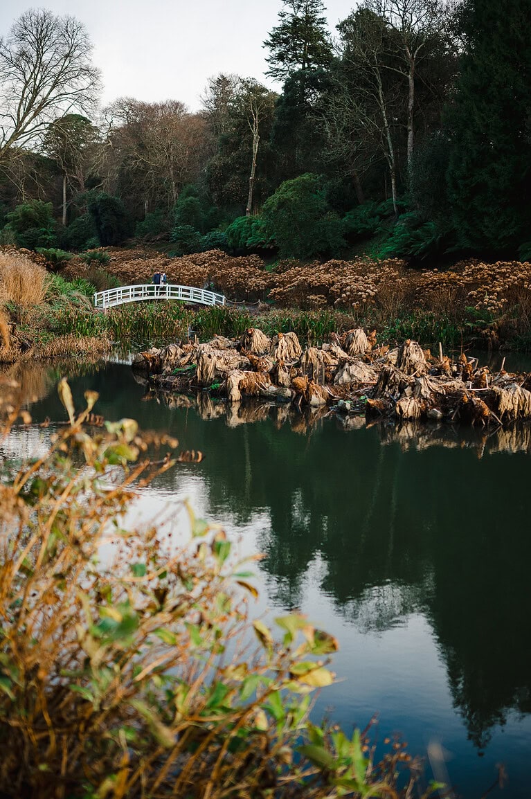 Looking across the pond over towards the newly engaged couple standing on the white bridge at Trebah Gardens, Falmouth. By Cornwall Engagement photographer, Jake Timms Photography